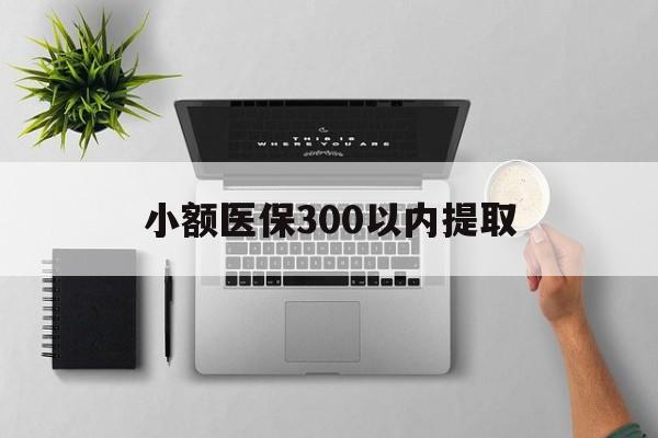 弥勒最新小额医保300以内提取方法分析(最方便真实的弥勒小额医保300以内提取中介方法)